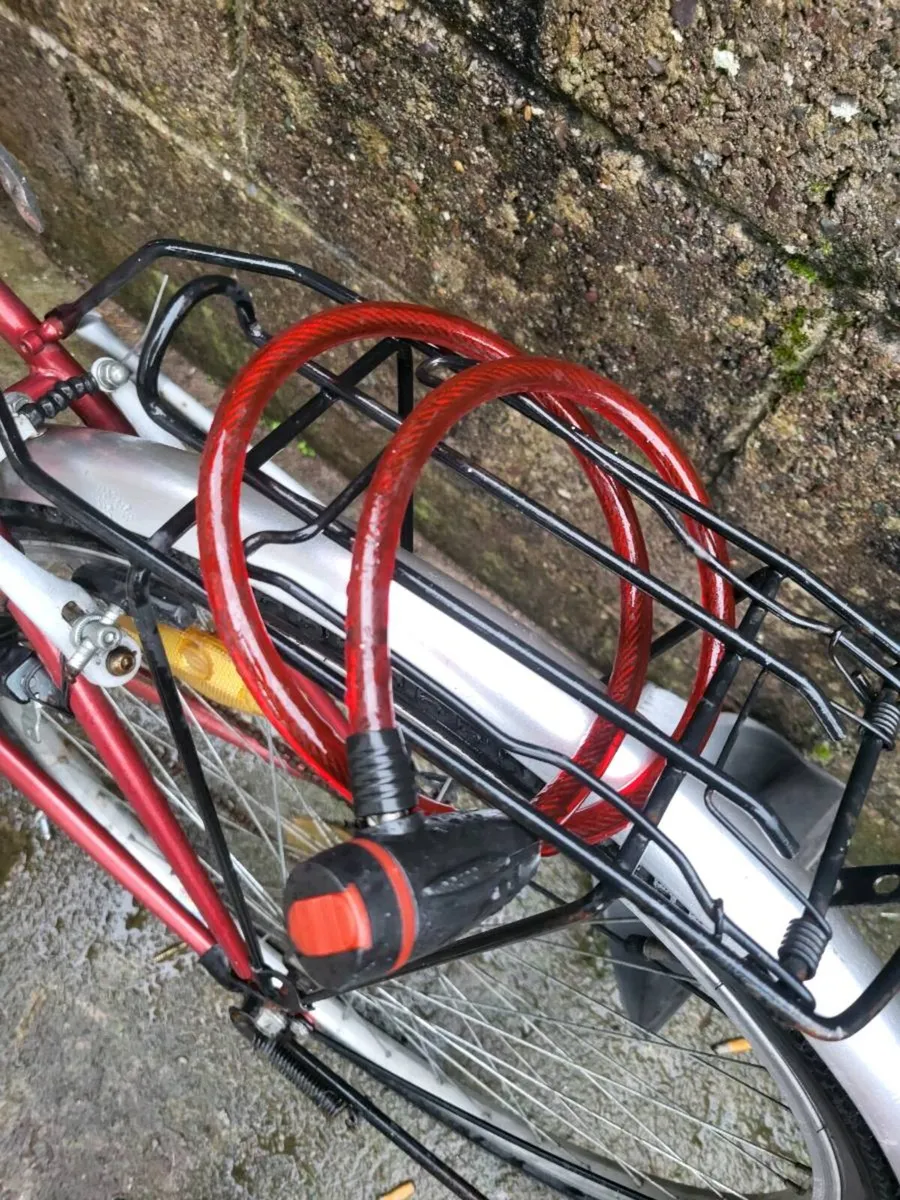 Adult bicycle - Image 2