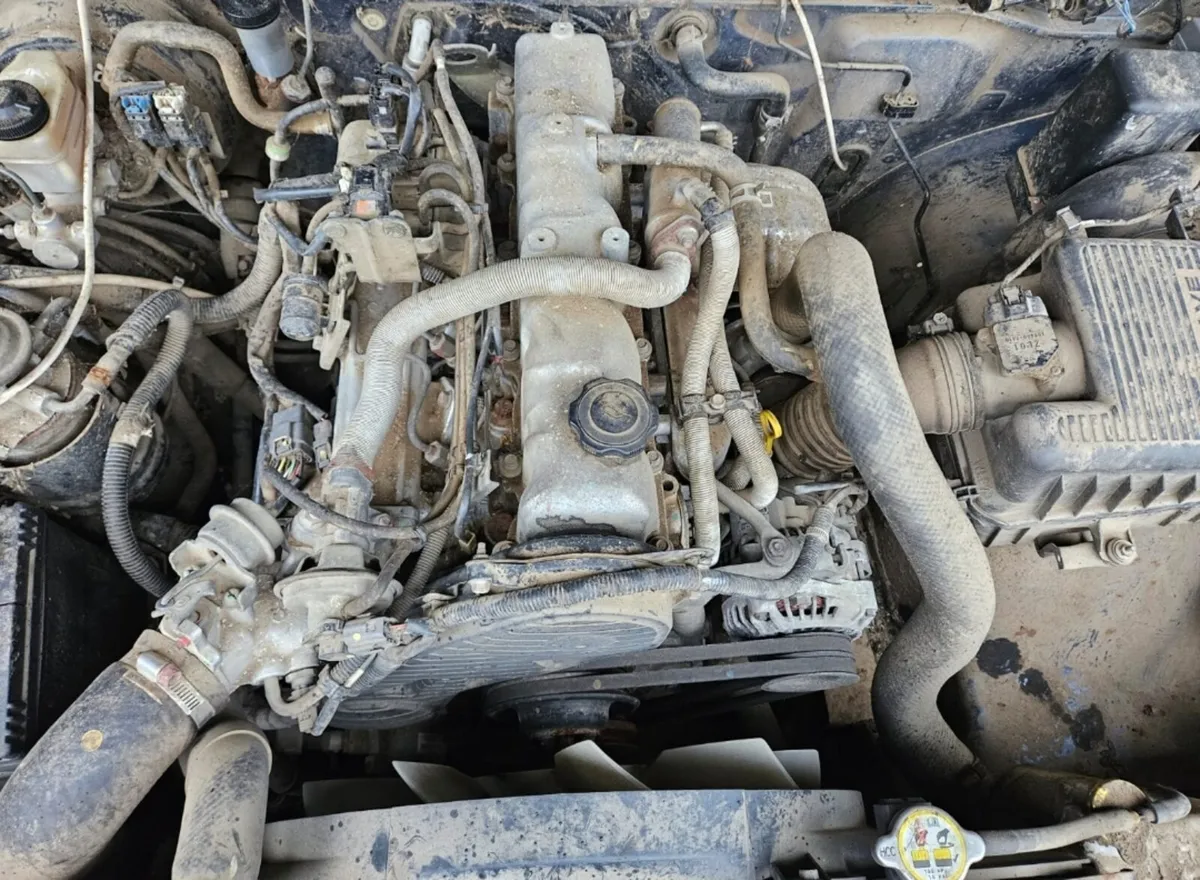 Ford Ranger single cab - Image 2