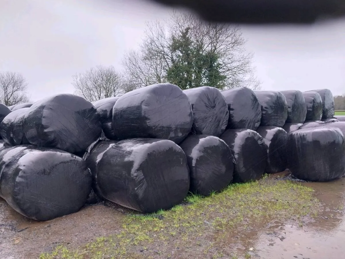 Round bales silage