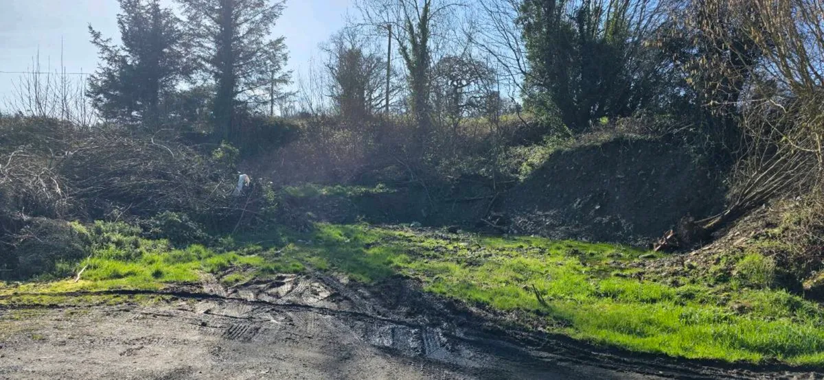 Filling  -  free - Image 3