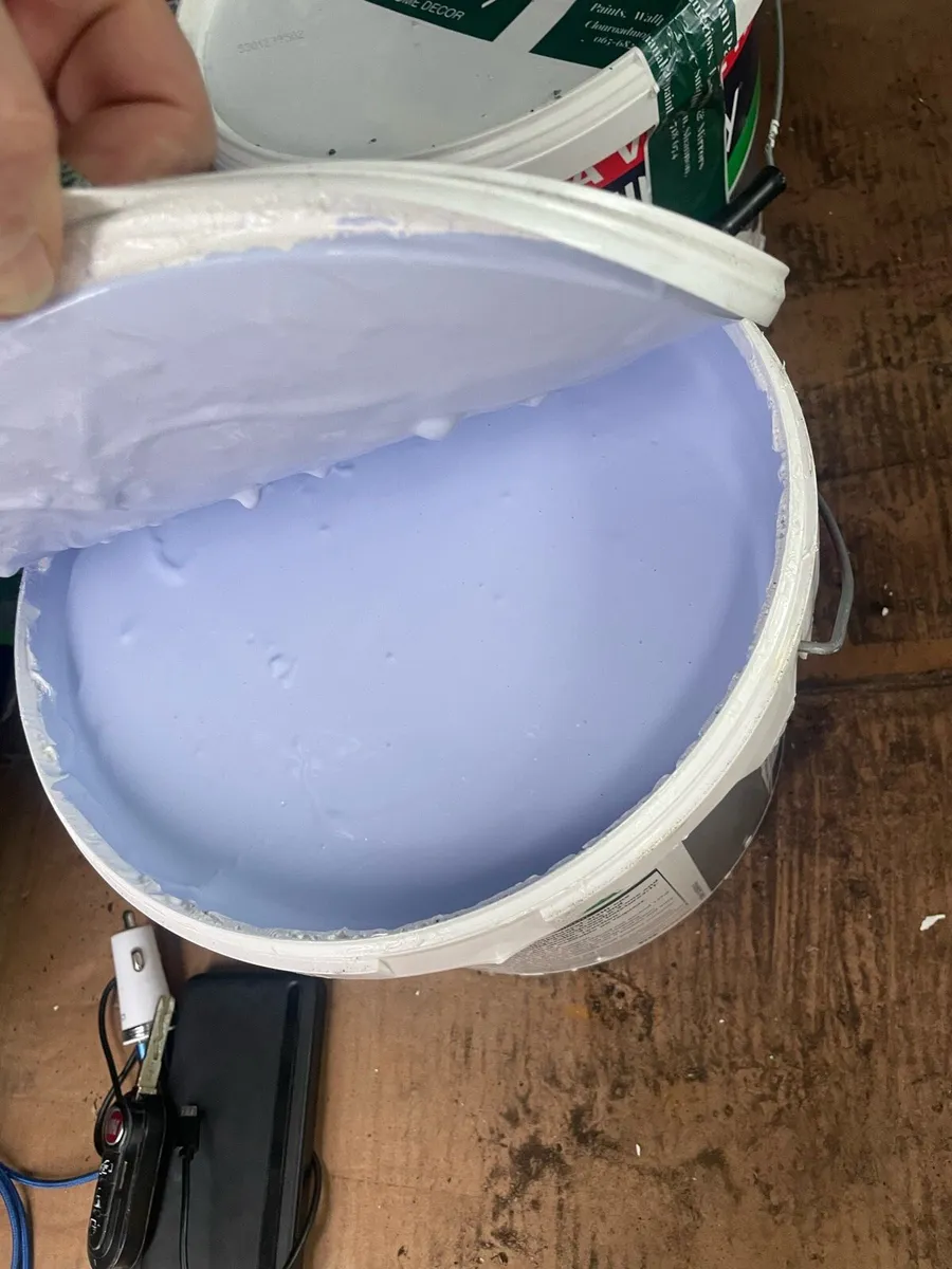 Exterior Paint - Image 3