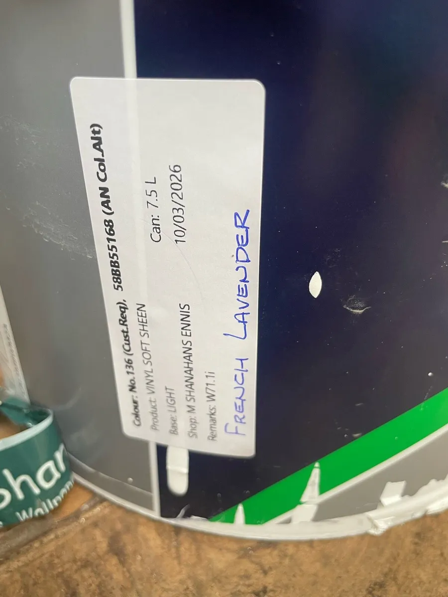 Exterior Paint - Image 4