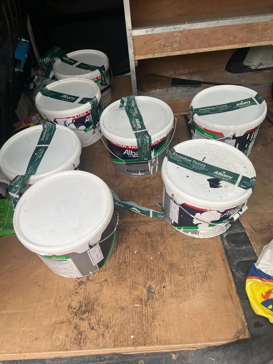 Exterior Paint - Image 4