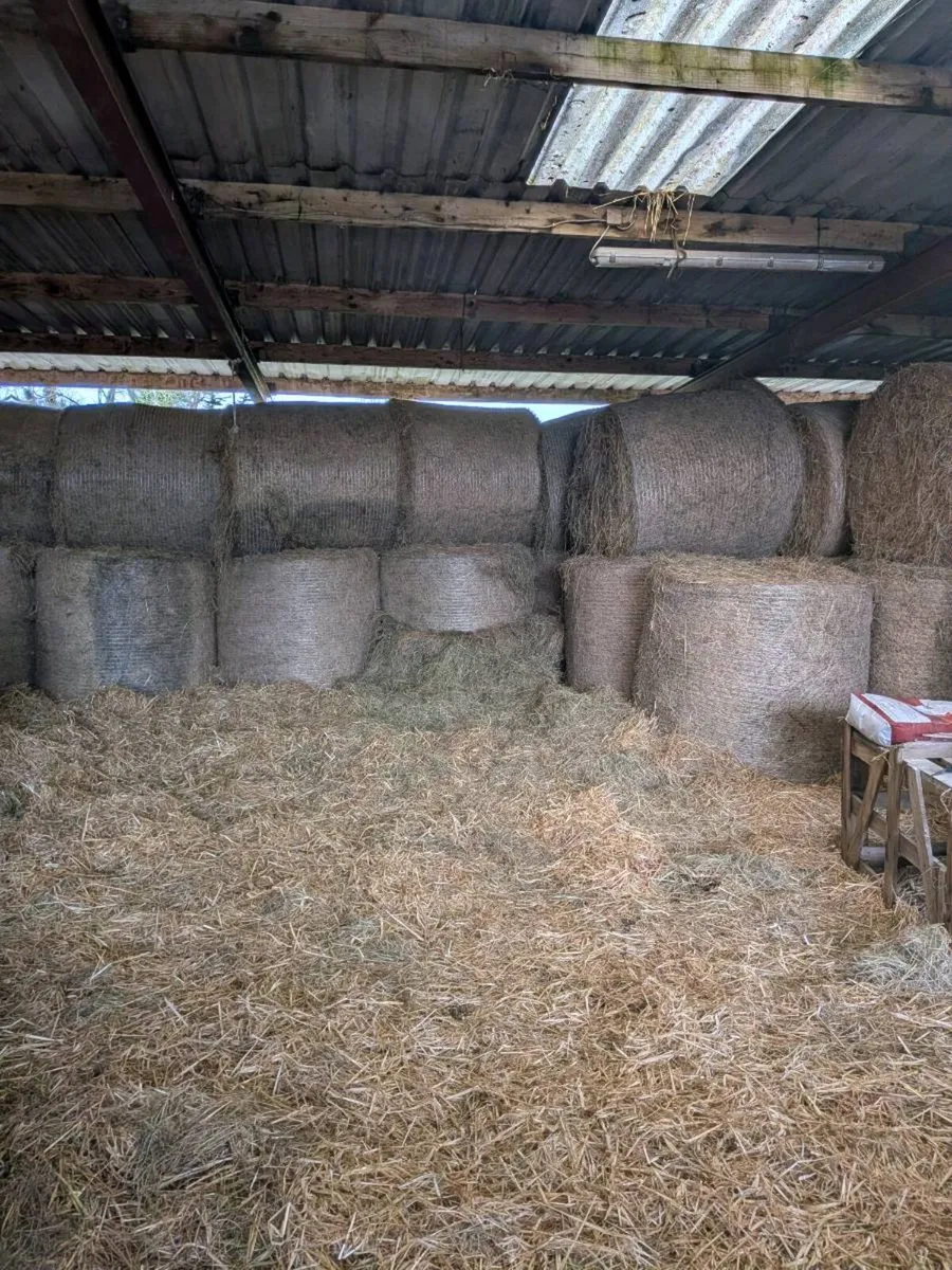 100 Round Hay Bales 4 x 4