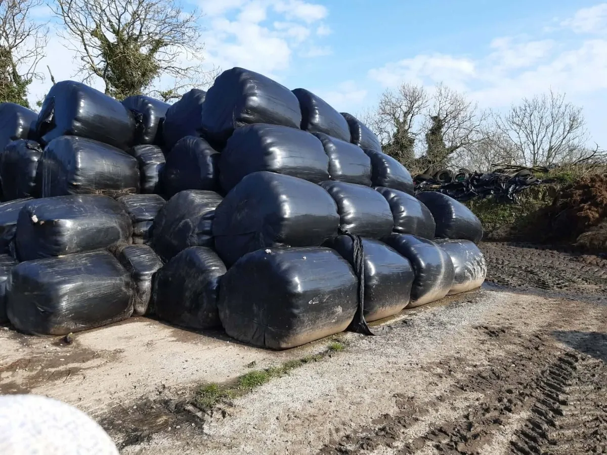 Silage bales - Image 1