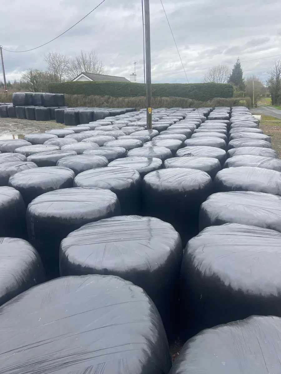 Silage Bales - Image 1