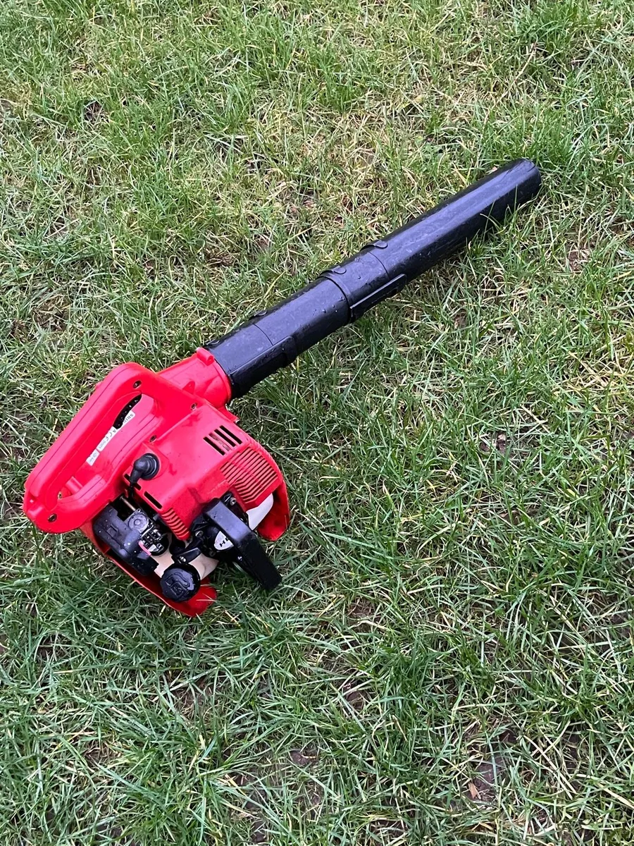 Leaf blower - Image 1
