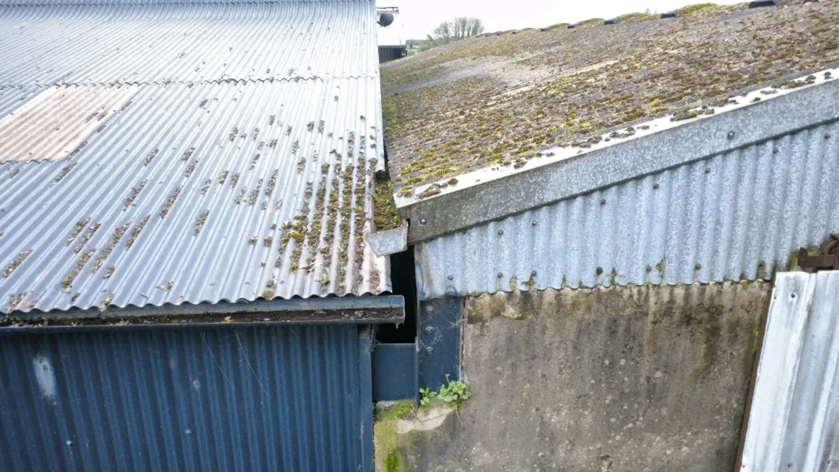 Farm shed repairs - Image 3
