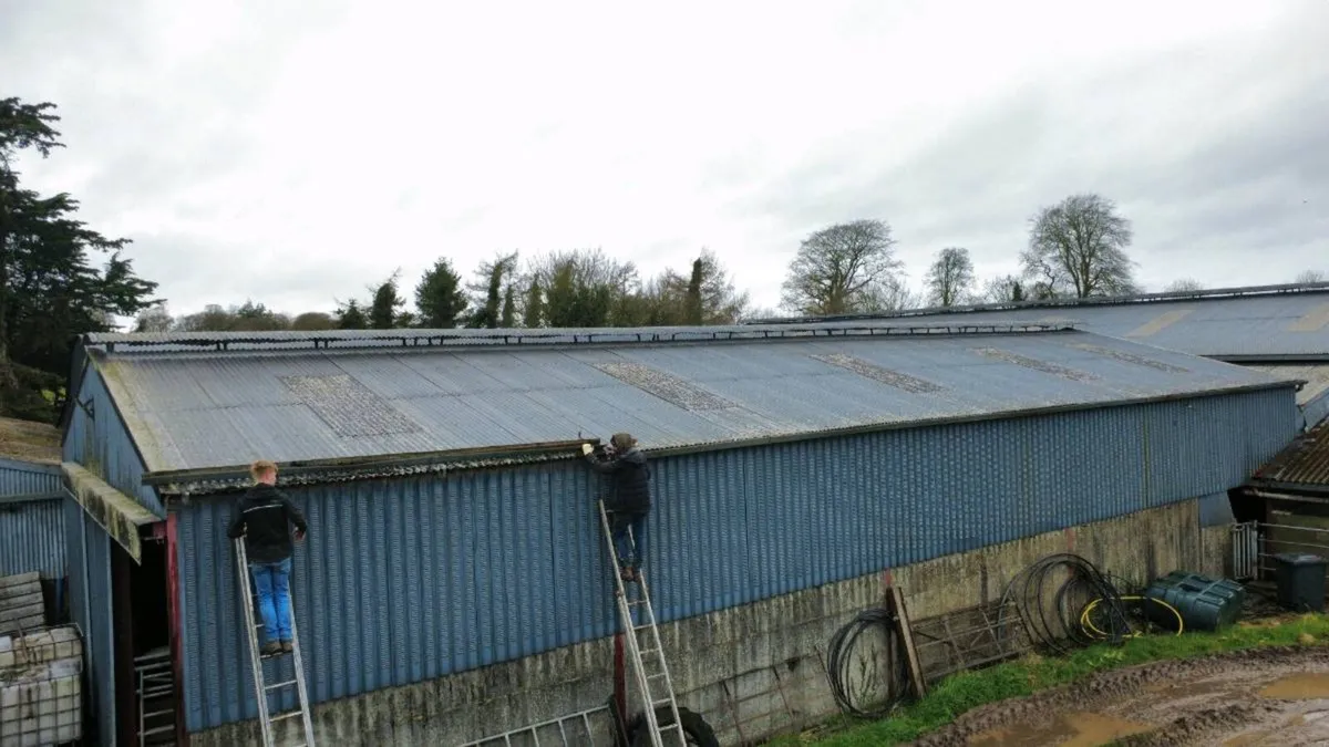 Farm shed repairs - Image 4