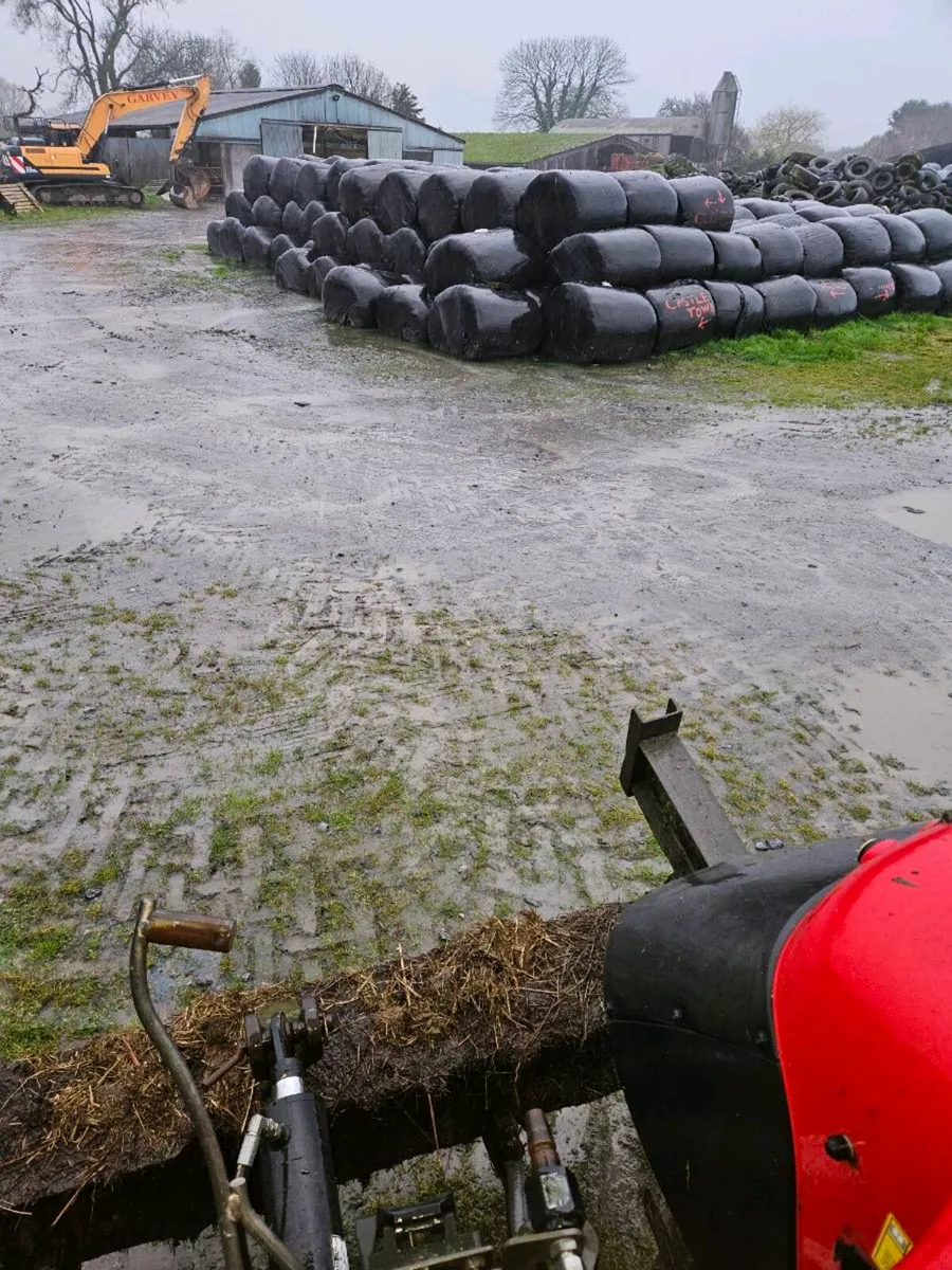Bales of silage - Image 1
