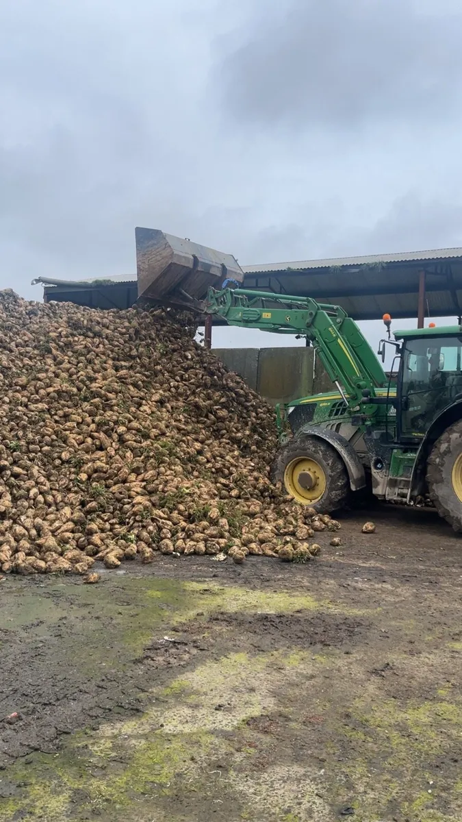 Cheap feed - Image 1