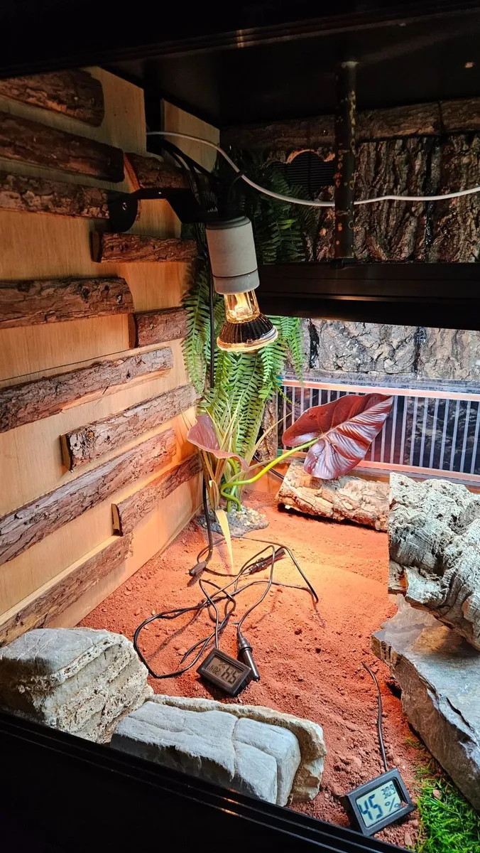 Vivarium for reptiles - Image 4