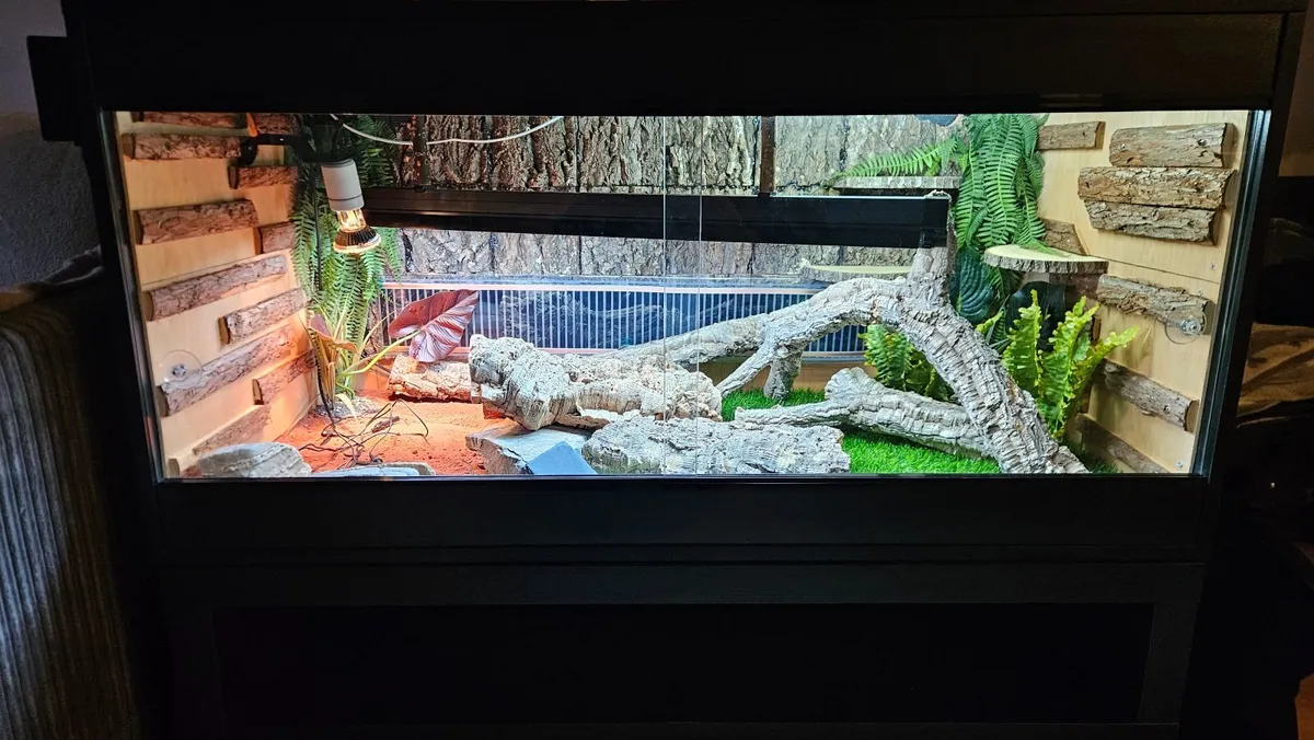Vivarium for reptiles - Image 1