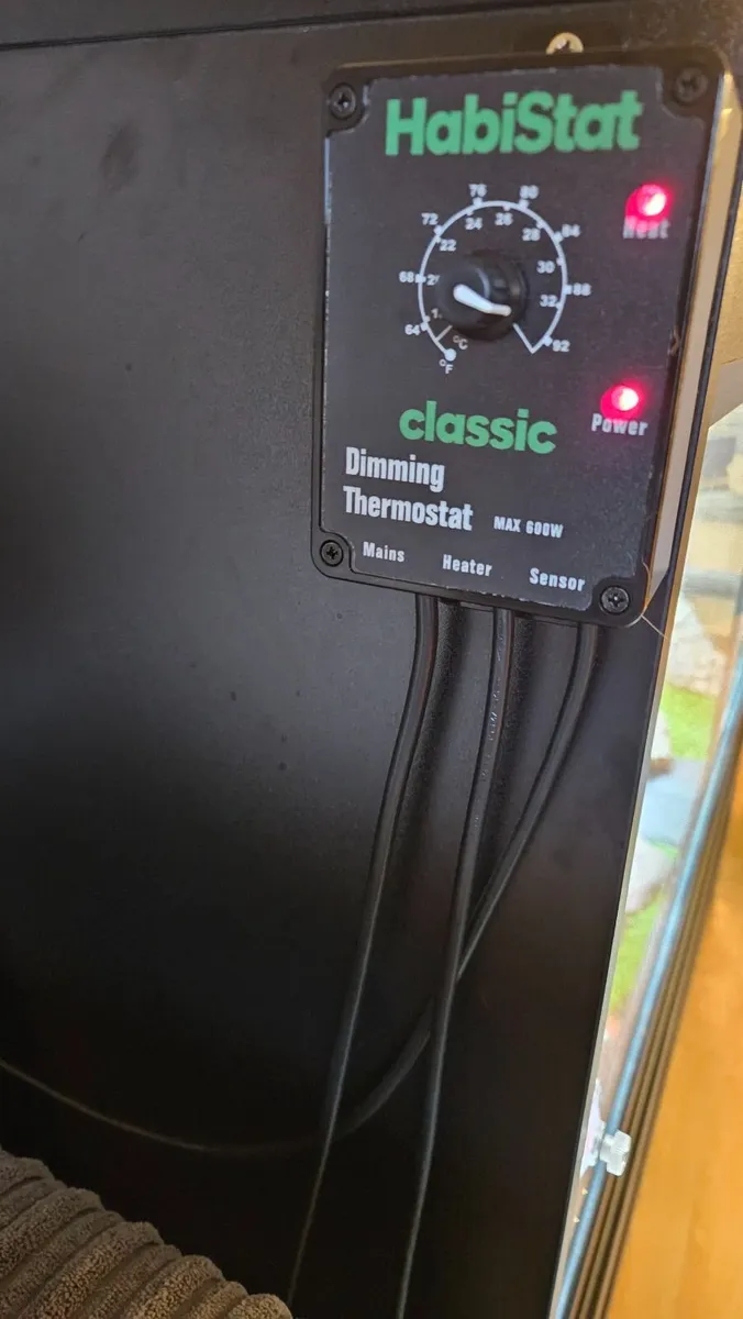 Vivarium for reptiles - Image 2