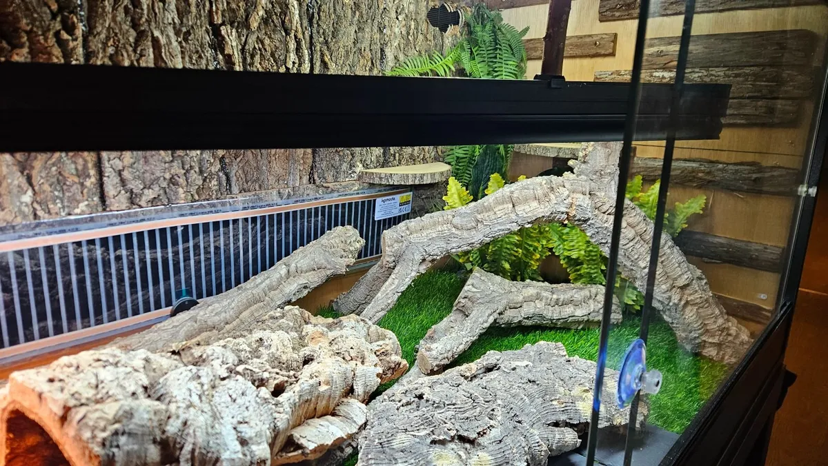 Vivarium for reptiles - Image 3
