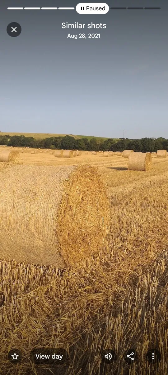 Barley straw 4x4 - Image 3