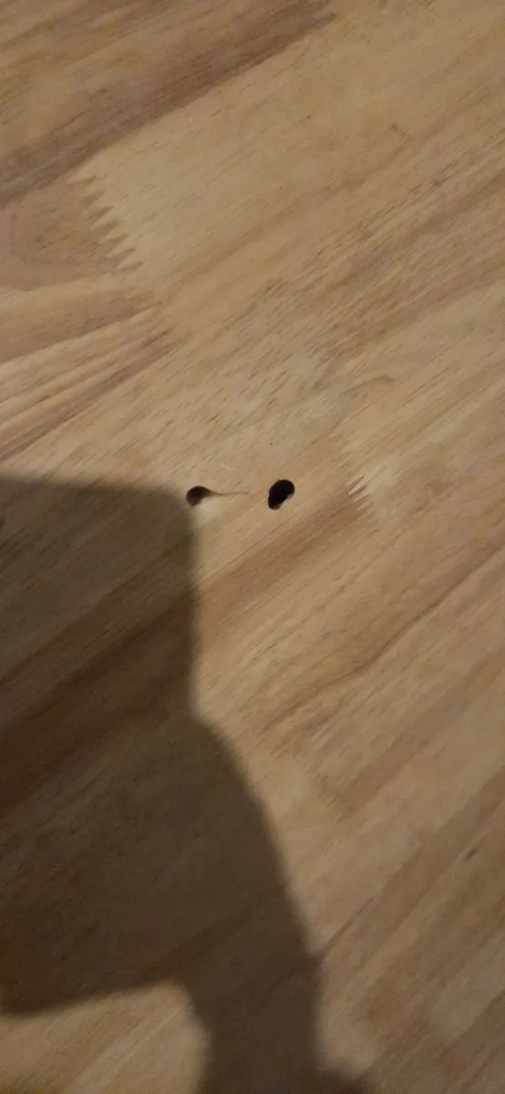 Solid pine table and chairs - Image 4