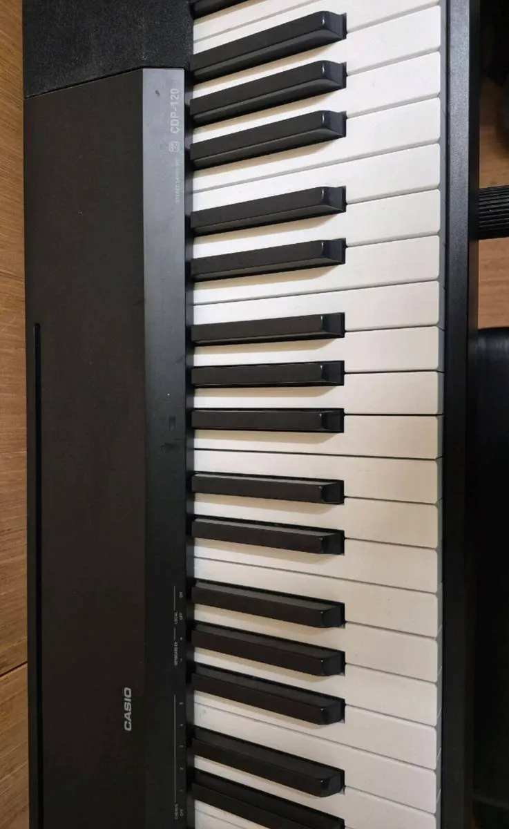 Casio Cdp120 Digital Piano + Accessories - Image 2