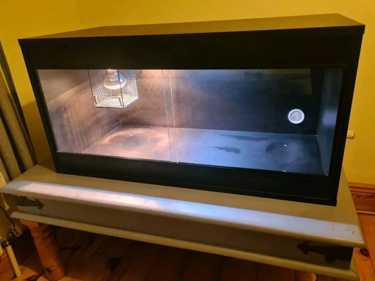 Reptile tank - Image 2