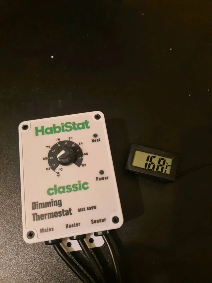 Reptile tank - Image 3