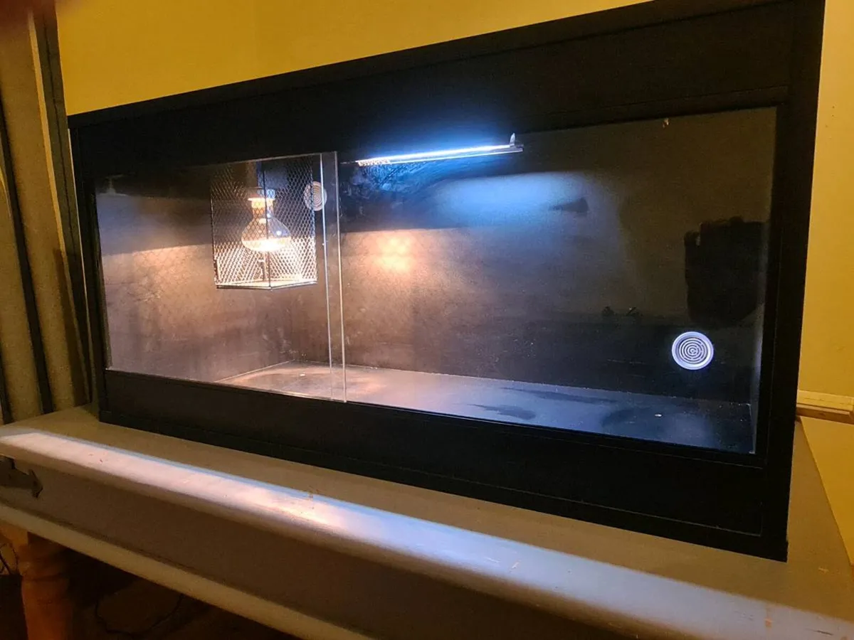 Reptile tank - Image 1