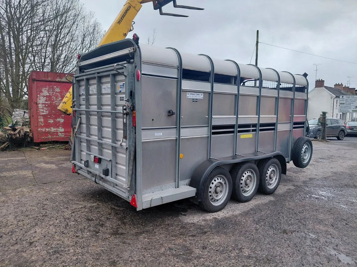Ifor williams 14ft livestock Trailer - Image 2
