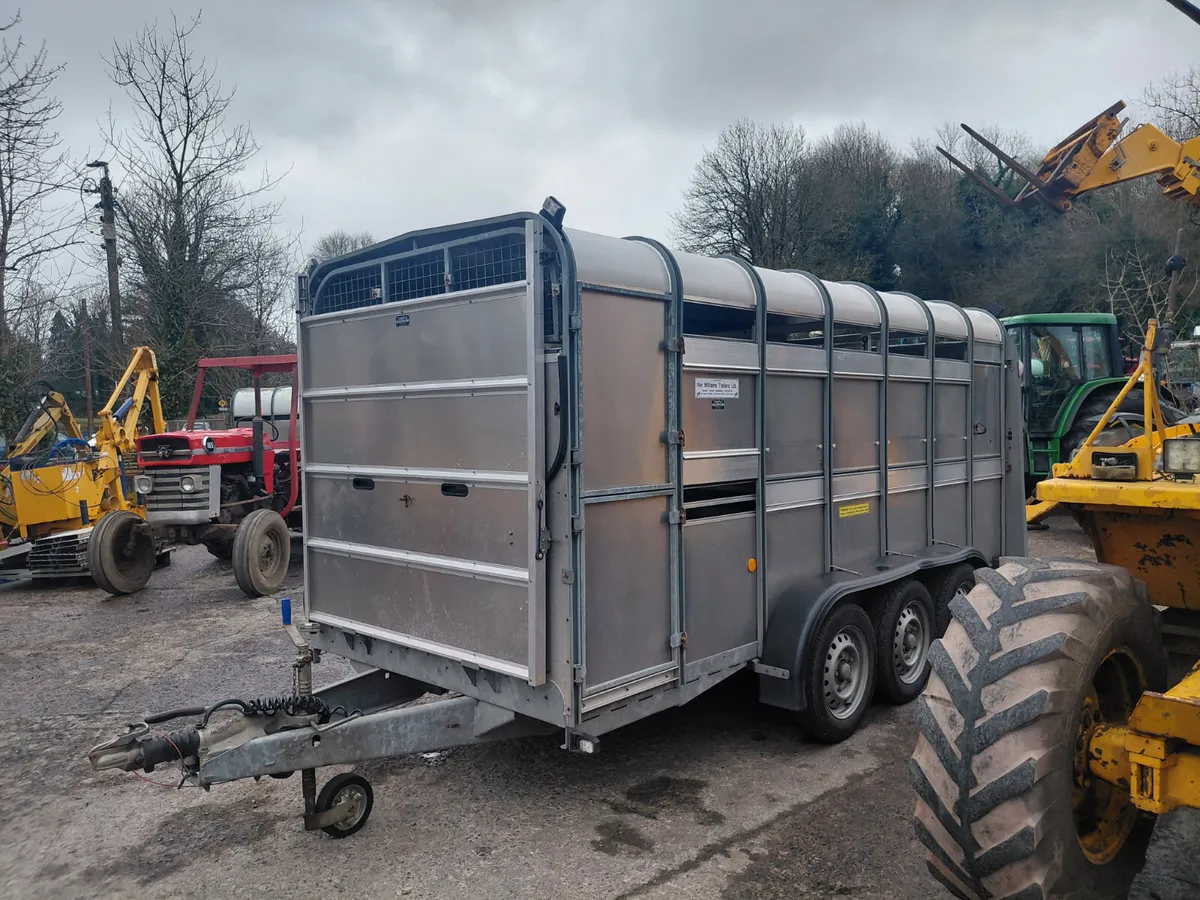 Ifor williams 14ft livestock Trailer - Image 4