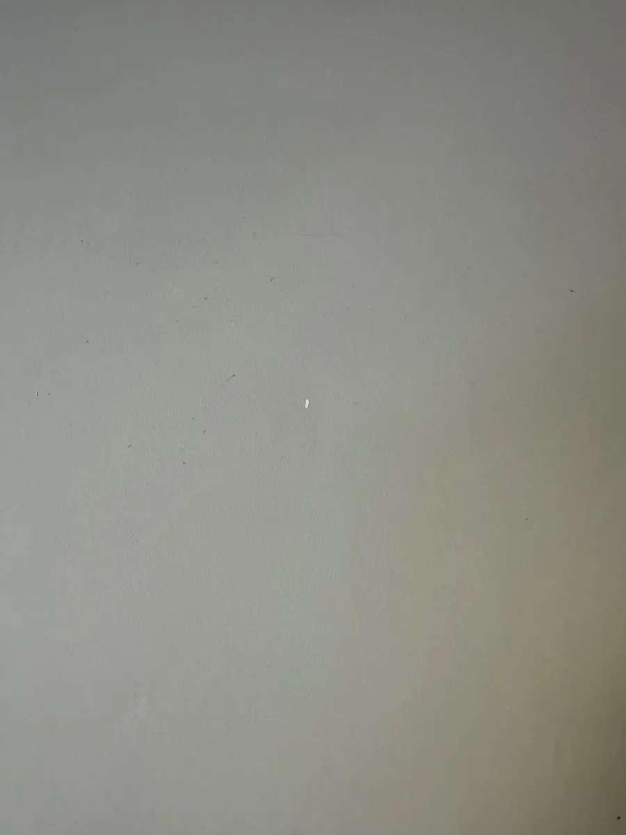 Sit Stand Desk - Image 3