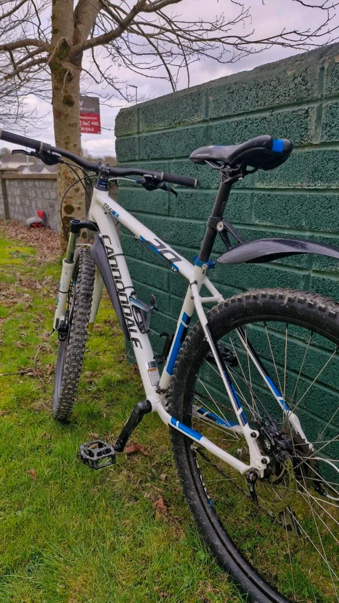 Cannondale Hardtail - Image 2