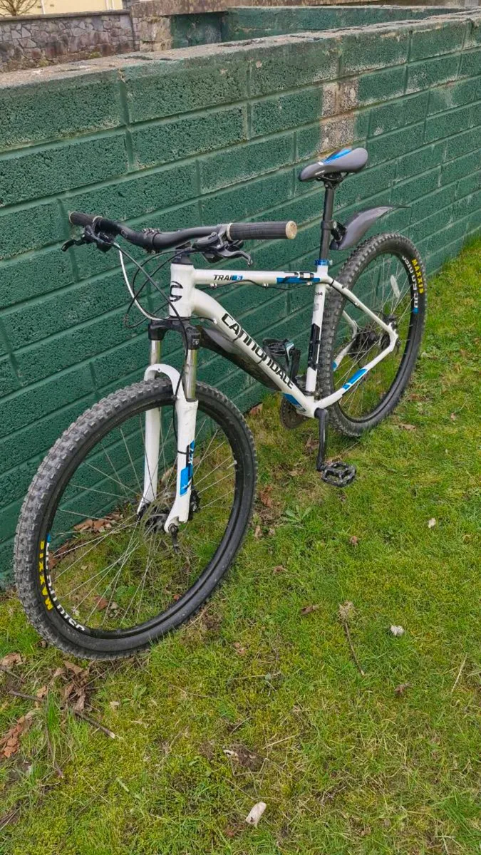 Cannondale Hardtail - Image 4