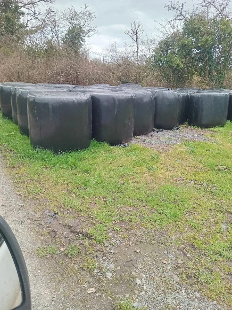 Silage Bales