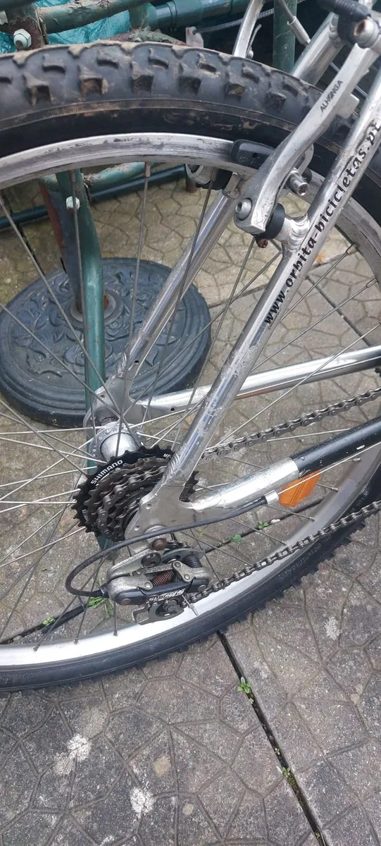 teenagers bicycle - Image 4