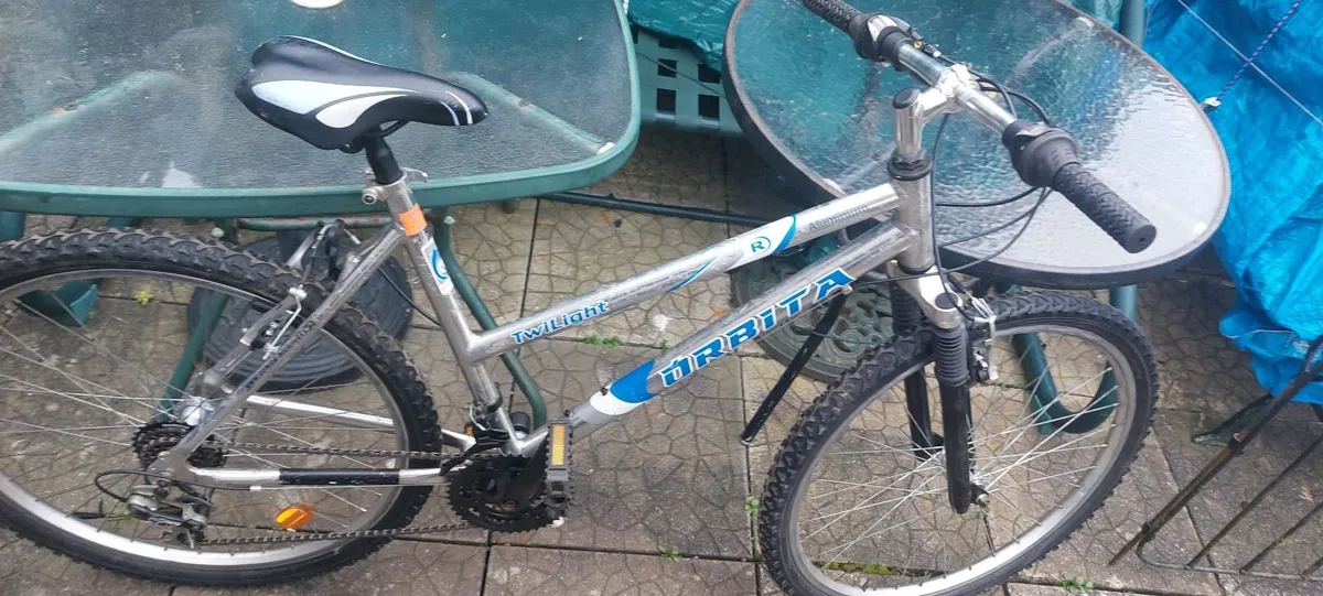 teenagers bicycle - Image 2