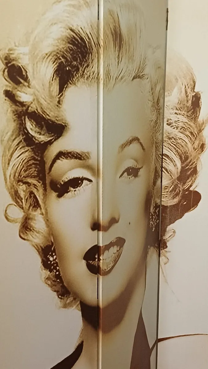 Mairlyn Monroe Dressing Screen  Great Cond - Image 3