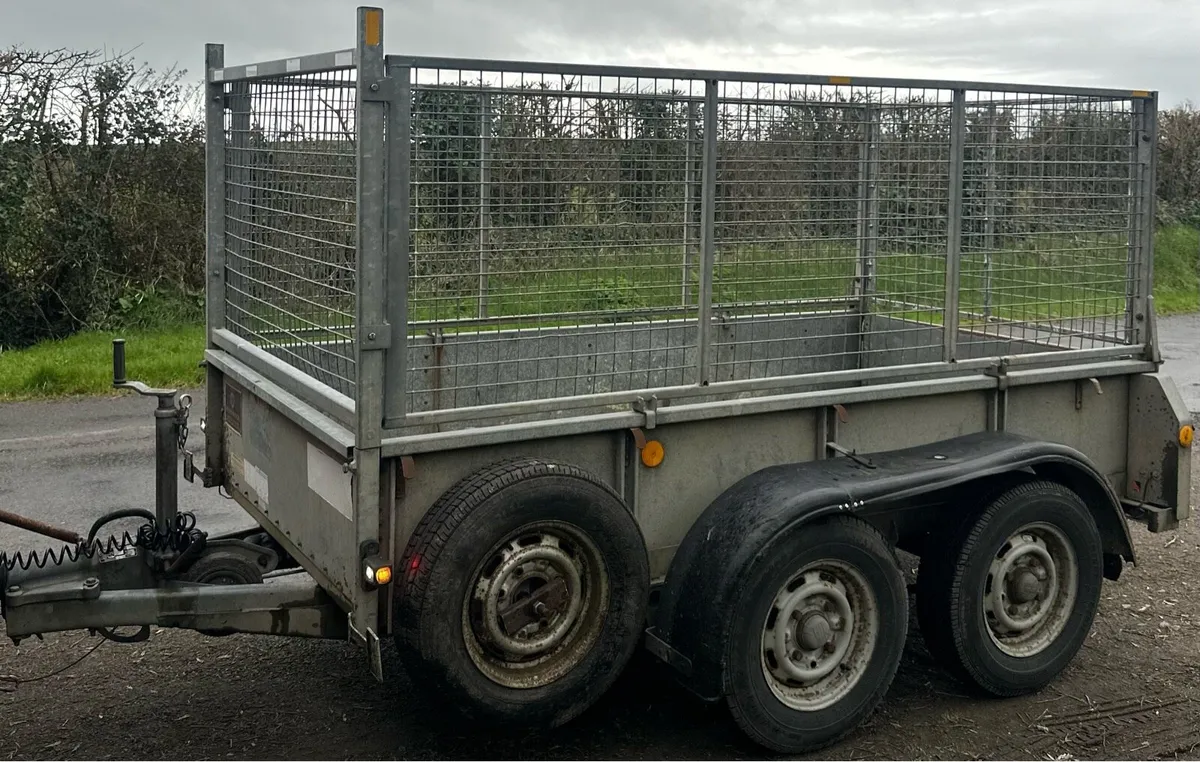 8 x 4 Ifor Williams Trailers - Image 2