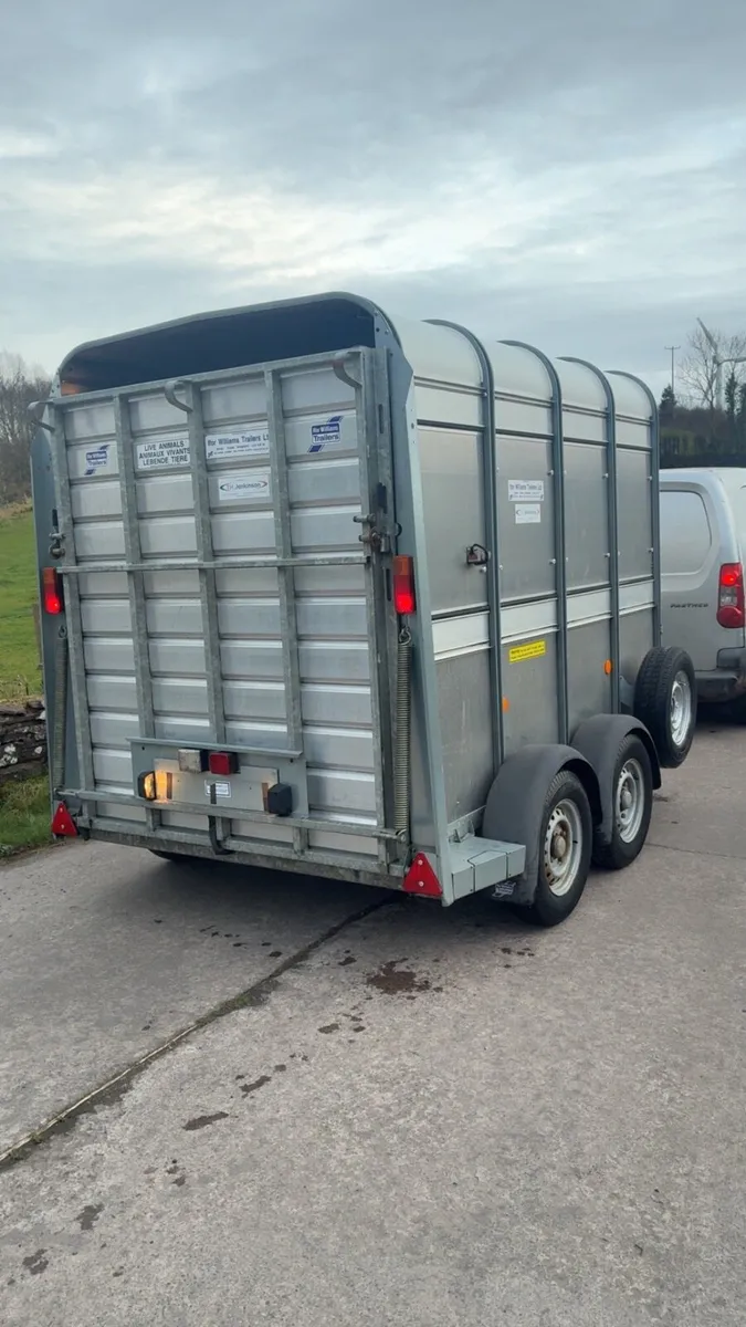 Ifor Williams cattle / sheep trailer - Image 4