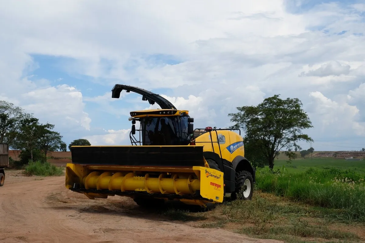 Marangon Wholecrop Headers - Image 4