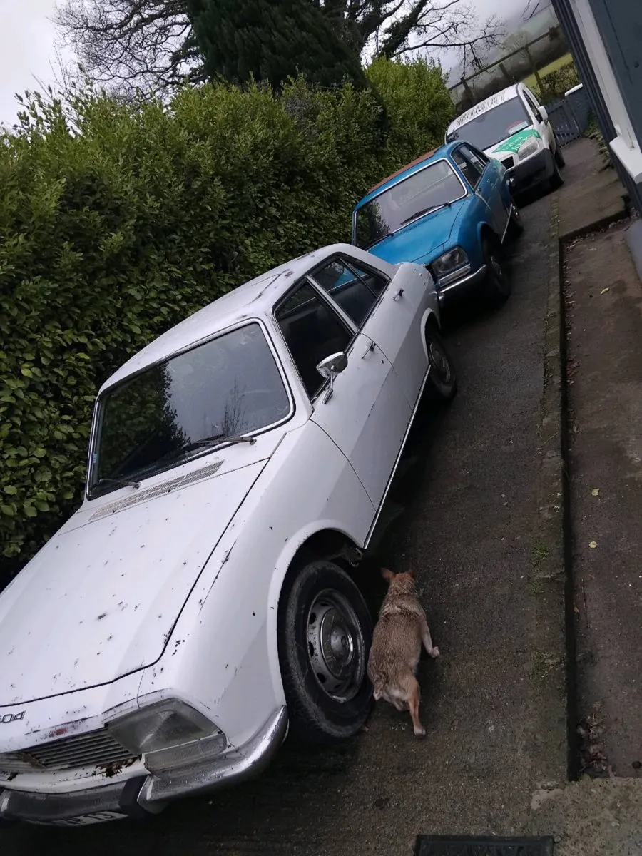 PEUGEOT 504 TI and 504 LD Diesel - Image 2