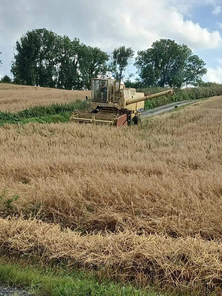 New Holland 1545 - Image 3