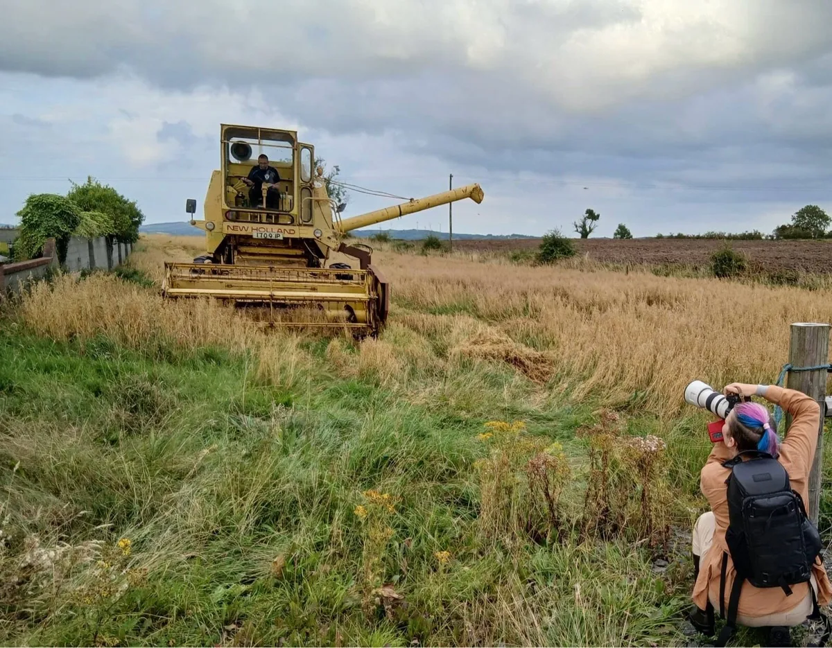 New Holland 1545 - Image 4