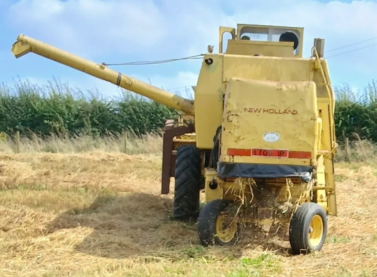 New Holland 1545 - Image 2