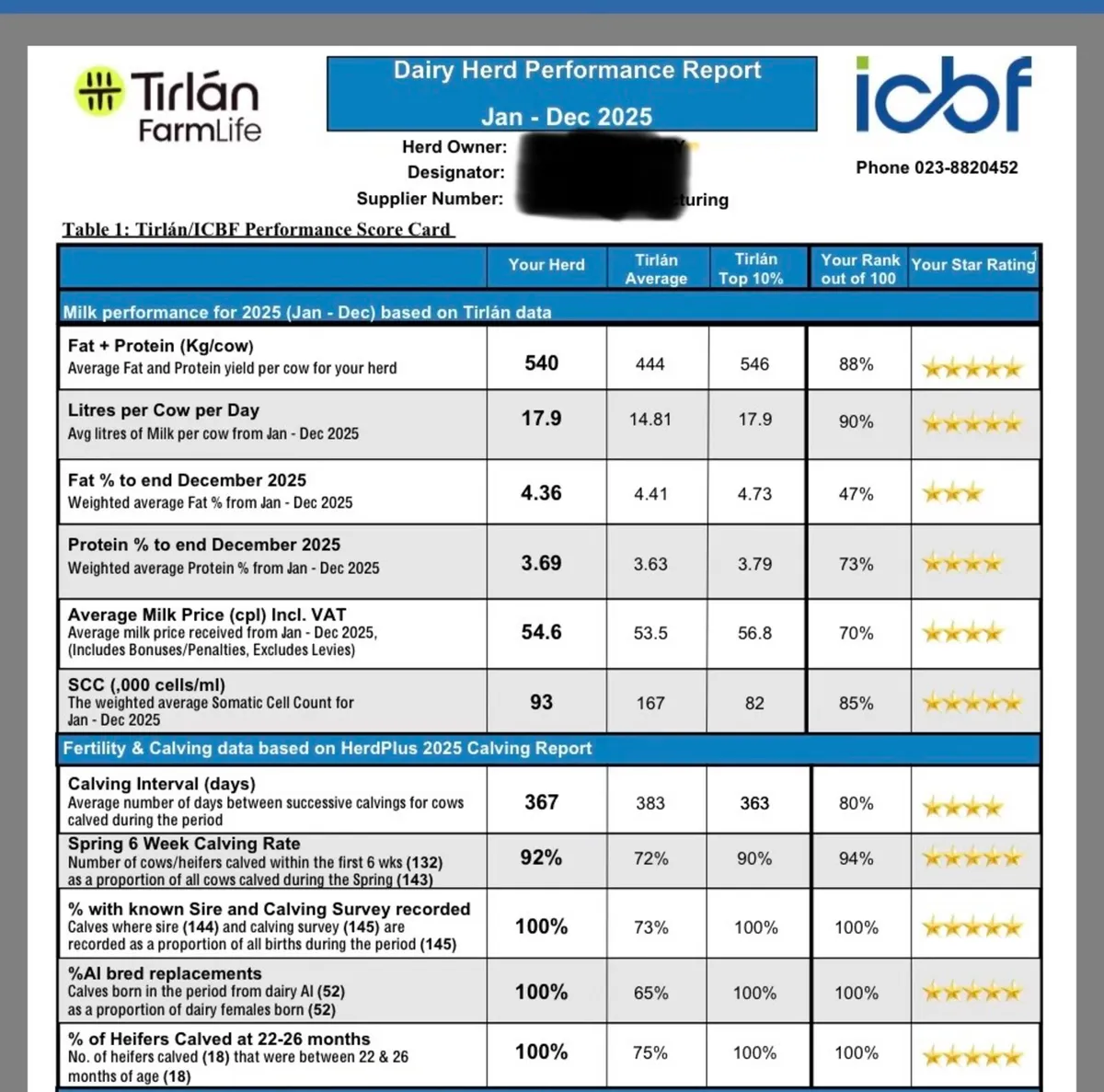 Maiden Heifers - Image 4