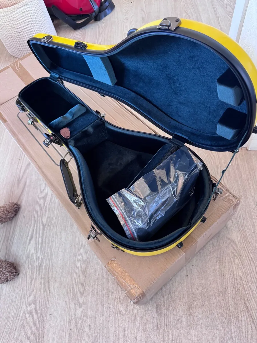 Mandolin case - Image 1