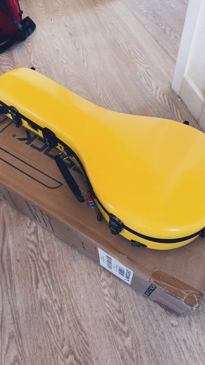 Mandolin case - Image 2