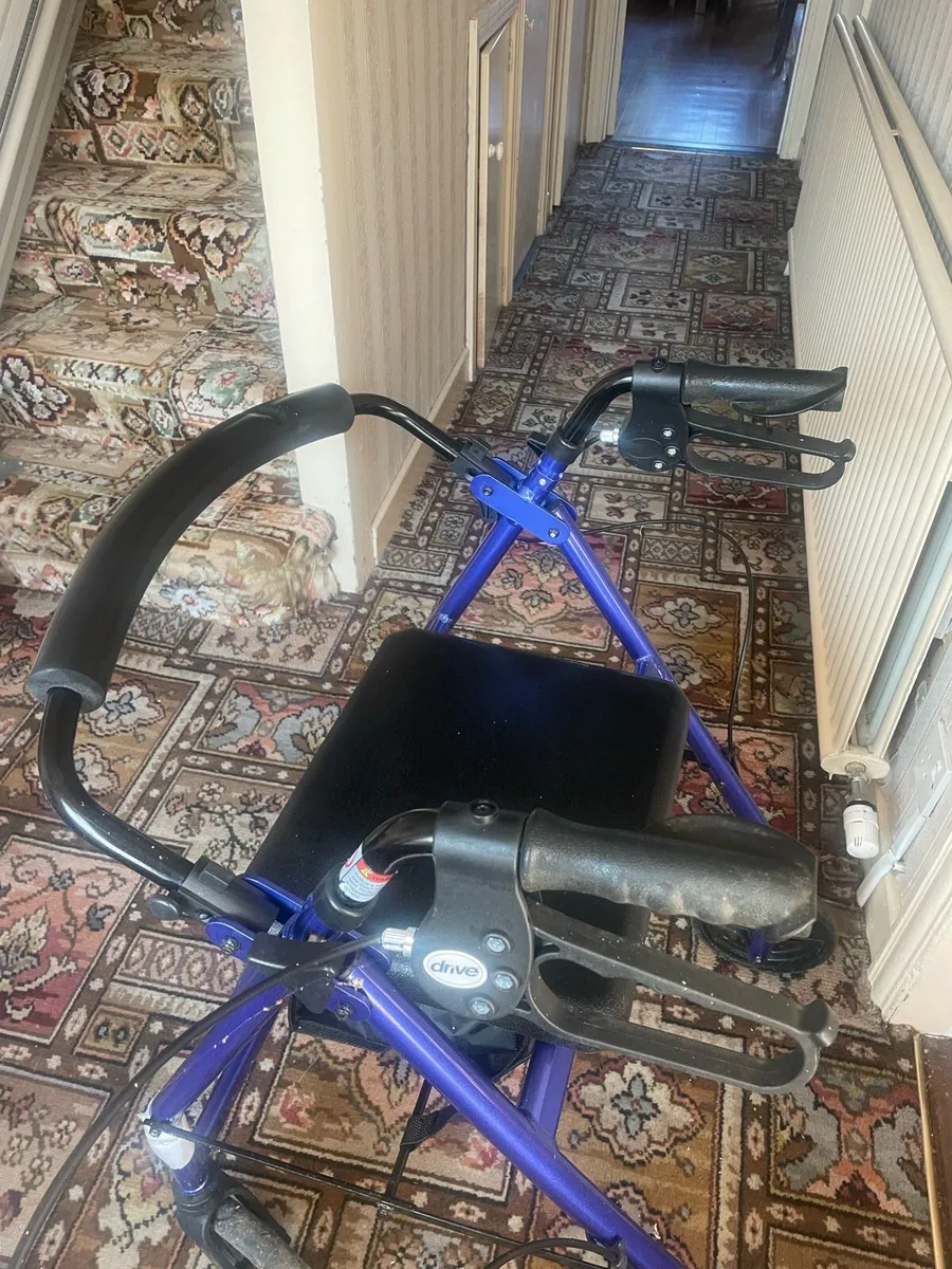 Mobility Walker - Image 1