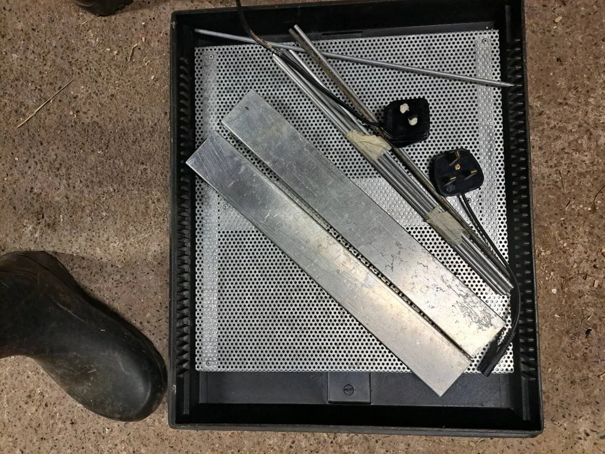 Hybrid RIR Pullets plus Brinsea incubators - Image 4