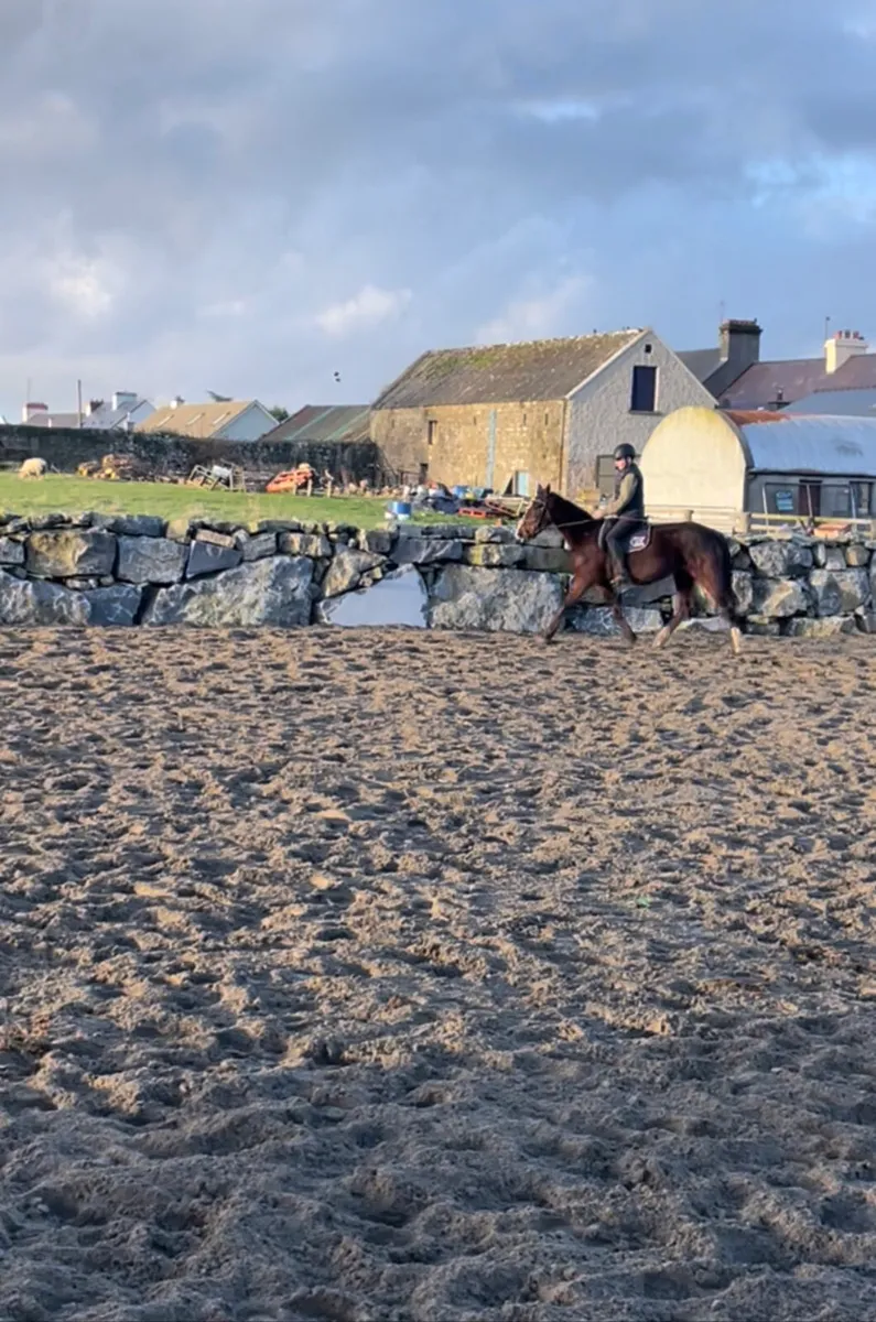 9 year old Happy Hacker - Image 2