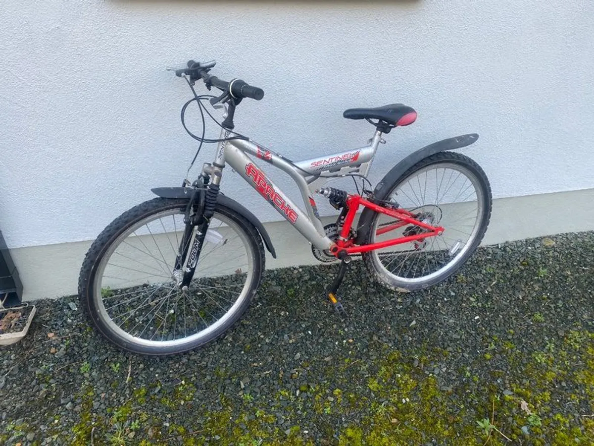 Bicycle and Weight bench . - Image 1