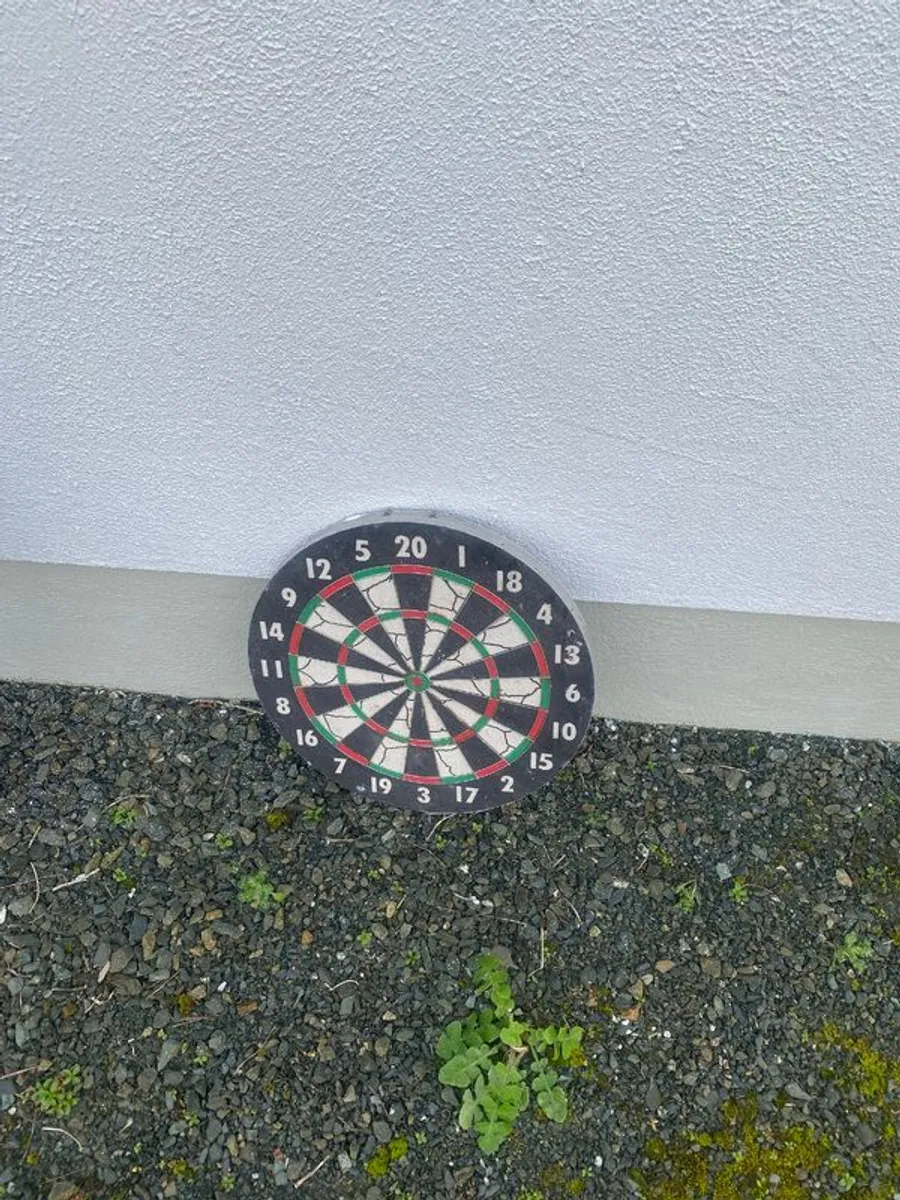 Bicycle and Weight bench . - Image 2