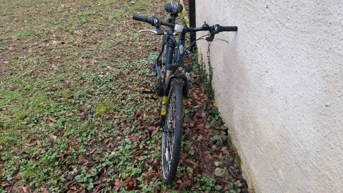 Bicycle Adult Men - Image 1